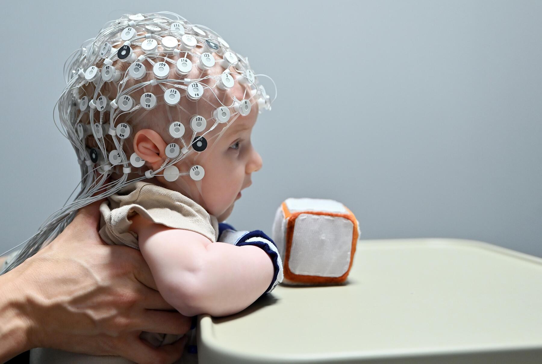 Watching Babies' Brains Learn