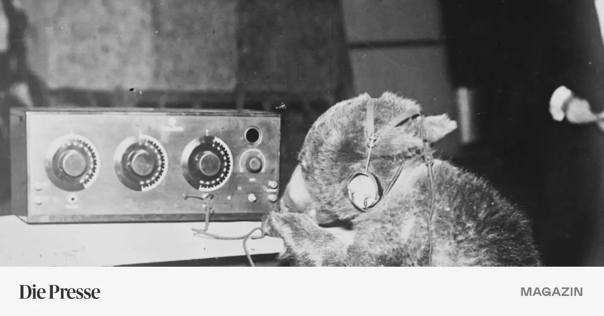 Vor-100-Jahren-Die-Welt-soll-aus-Wien-nicht-nur-Raunzerei-h-ren-premium-