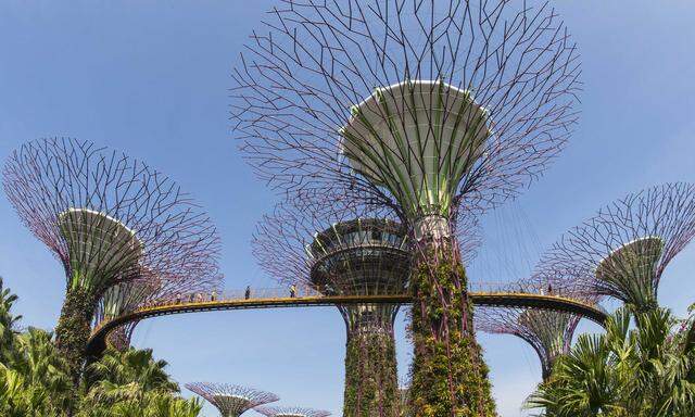 Die mit seltenen Pflanzen bewachsenen „Supertrees“ in Singapur sind ein Touristenmagnet.