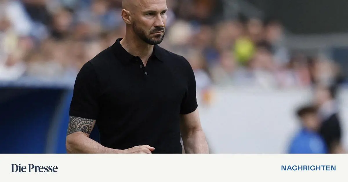 ilzer-atmet-auf-hoffenheim-schafft-klassenerhalt