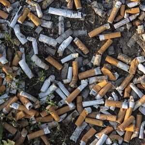 Zigarettenstummel liegen am 28 08 2018 auf einem Rasthof der Bundesautobahn A 4 auf dem Boden sear