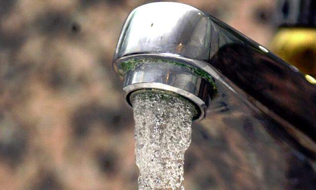WasserPrivatisierungsverbot waere rechtlich belanglos