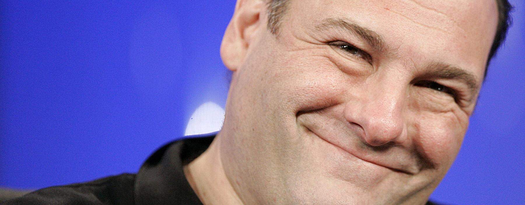 Actor Gandolfini smiles at Television Critics Association media tour in Pasadena