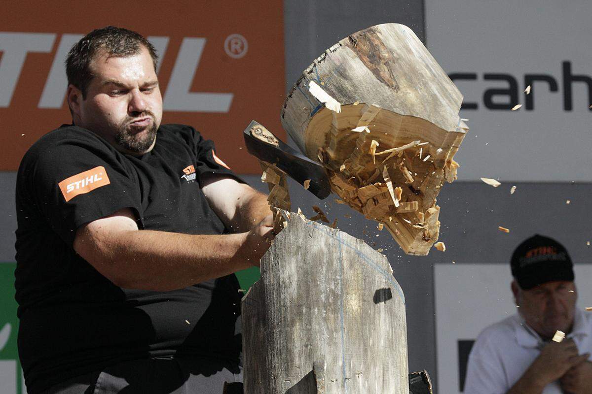 11. August.  Auf der Kaiserwiese im Prater ermittelten Österreichs beste Holzfäller ihren Meister. Und der hieß - wie auch schon zuletzt - Josef Laier. Der Titelverteidiger ließ vor 2000 Zuschauern der Konkurrenz keine Chance und siegte souverän mit neun Punkten Vorsprung. Der Niederösterreicher ist somit für die Weltmeisterschaften im norwegischen Lillehammer (7. und 8. September 2012) qualifiziert.