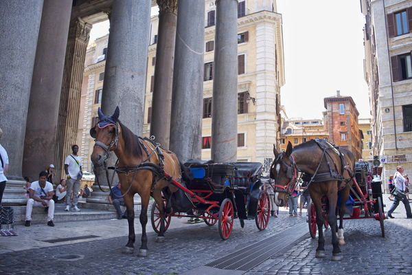 Archive image of fiakers in Rome - called “Botticelle” in the Italian capital.