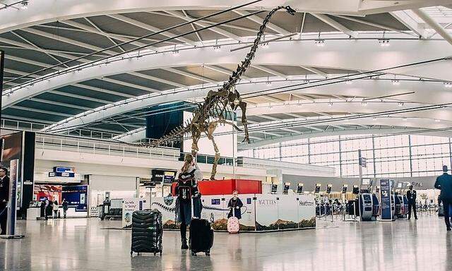 Der 13 Meter lange Dinosaurier im Terminal fünf des Londoner Flughafens Heathrow.  