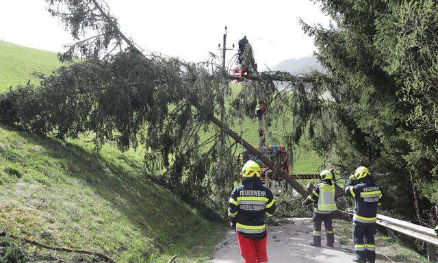 Insbesondere Steiermark und Kärnten waren von dem Sturm betroffen. Der Katastrophenschutz appellierte in einigen Gebieten, das Haus nicht zu verlassen. 