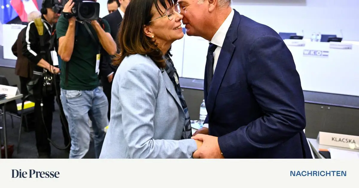 Nach-Presse-Berichten-WKO-Pr-sidentin-Schultz-will-Walter-Rucks-Postenvergaben-berpr-fen-lassen-premium-