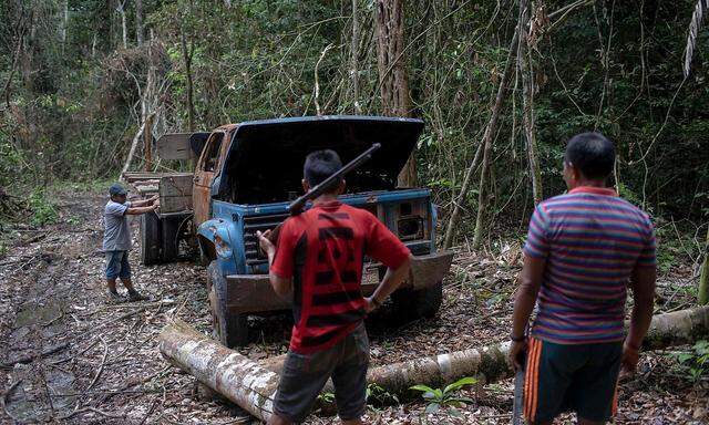 Indigene Gemeinschaften geraten oft in Konflikt mit illegalen Abholzern. Im Bild patroullieren Mitglieder der Arara ihr Gebiet im Bundesstaat Para. Sie hatten diesen Truck für den Holztransport enteckt und in Brand gesteckt.