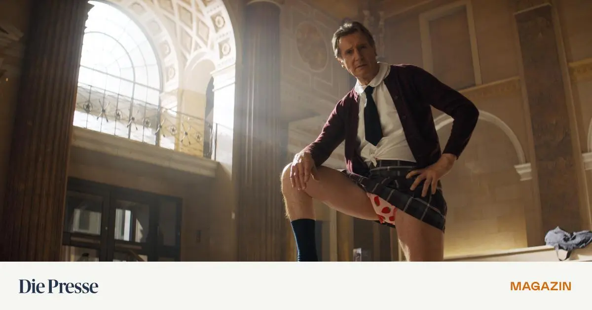 -Die-nackte-Kanone-mit-Liam-Neeson-Der-Kalauer-kehrt-zur-ck-premium-