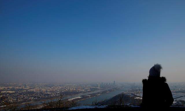 Sehr kalt, aber sehr sonnig bleibt es vorerst in Wien, hier der Blick vom Leopoldsberg.