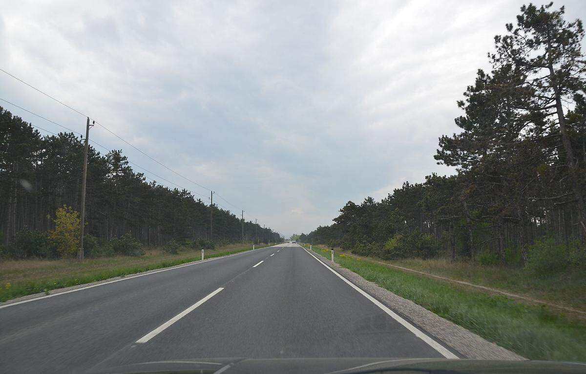 Es gibt im Bezirk Wiener Neustadt (NÖ), zwischen Felixdorf und Sollenau an der Südautobahn im Westen und Ebenfurth im Osten, eine gut neun Kilometer lange Landesstraße, die L159. Sie führt über weite Strecken fast kerzengerade und durch spröde, dunkle Wälder. Bisweilen ist's fast unheimlich. VON WOLFGANG GREBER
