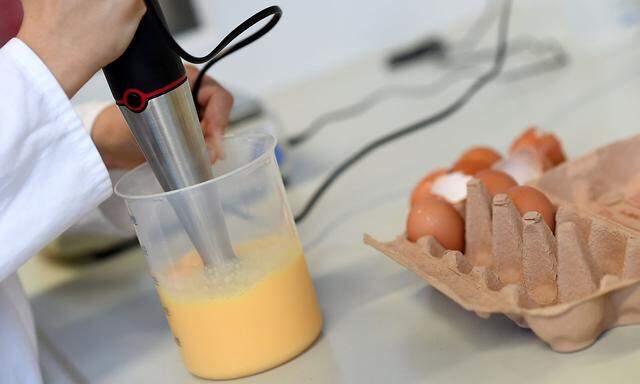 A laboratory technician checks eggs in a laboratory in Erlangen