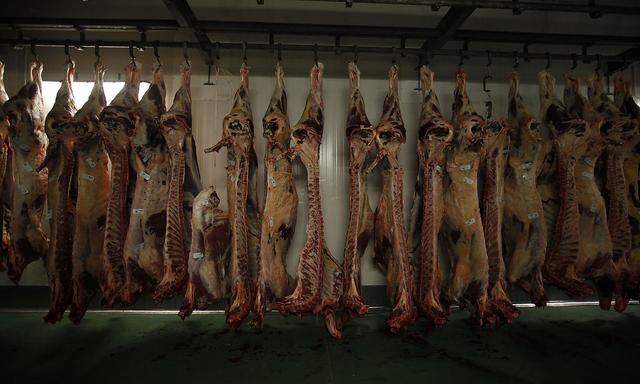 Beef carcasses hang at a cold store in the Biernacki  Meat Plant slaughterhouse in Golina near Jarocin