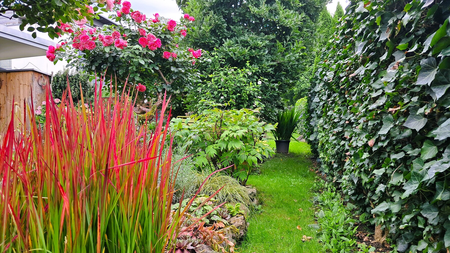 „Es darf ein Dschungel sein“: Der Garten wird wieder natürlicher [premium]