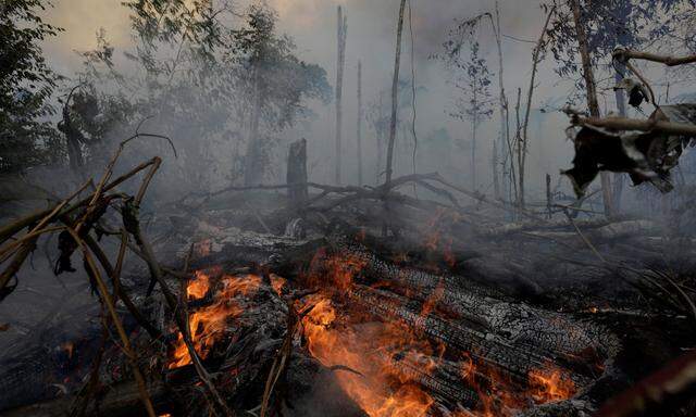 Verheerende Feuer in Brasilien