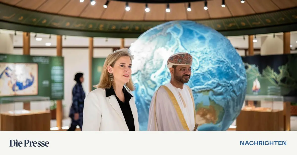 Meinl-Reisinger-h-lt-US-Milit-rschlag-gegen-Iran-f-r-kontraproduktiv-premium-