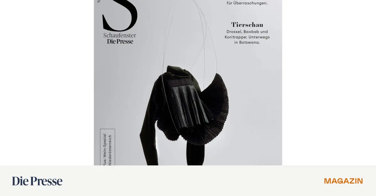 Das-Schaufenster-vom-5-Dezember