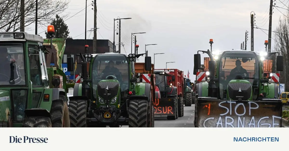 Wird-der-Handelspakt-EU-Mercosur-am-12-J-nner-unterzeichnet-premium-