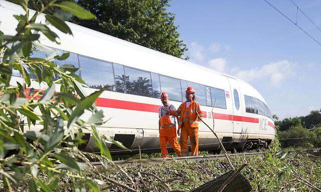 Deutschland: ICE rast gegen umgestürzten Baum