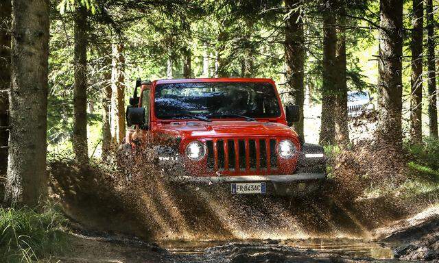 Über Stock und Stein und durch den Gatsch: Dafür ist der Jeep Wrangler gebaut.