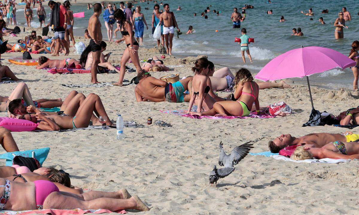 Alle auf Malle: Wenn der Deutsche auf seiner liebsten Ferieninsel einen hebt, dann bebt das spanische Eiland. Vor allem der Strandabschnitt El Arenal ist als Partyhochburg berüchtigt.
