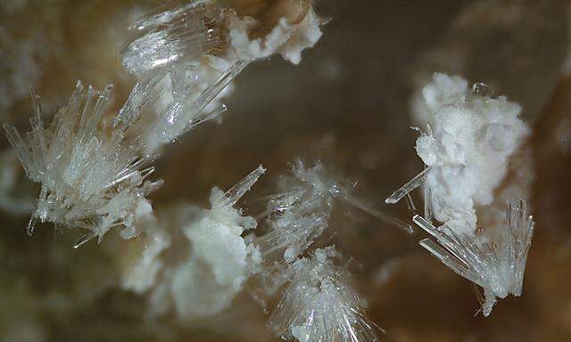 Ein rares Mineral, benannt nach einem auch raren Mineralogen: Hazenit. Bakterien bilden es in der Not, als Kot.
