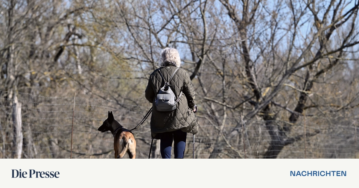 Wer-lange-leben-will-braucht-die-richtigen-Gene