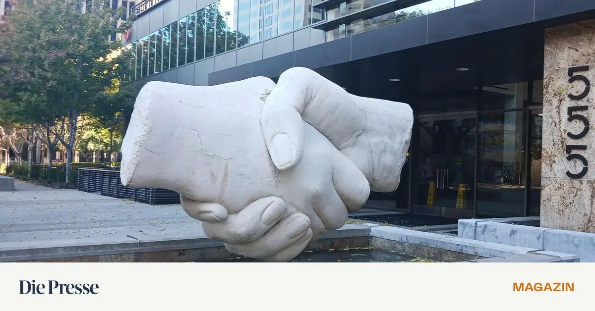 Freundschaft-ist-Liebe-die-keine-Leiden-schafft-premium-