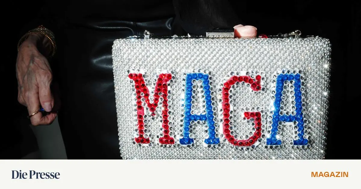 Die-radikalen-Strategen-hinter-Donald-Trump-bereiten-eine-neue-ra-vor-premium-