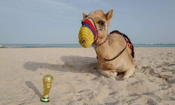 Fußball-WM mit Maulkorb: In Katar treffen sich 32 Mannschaften, aber abseits der Staden versickern zu viele Probleme im Sand. 