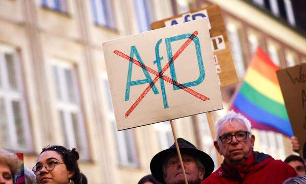 In Deutschland spielte die AfD inhaltlich eine große Rolle bei Demonstrationen gegen Rechtsextremismus.