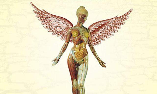 Am Cover von „In Utero“ ein weiblicher Engel mit Innenleben.