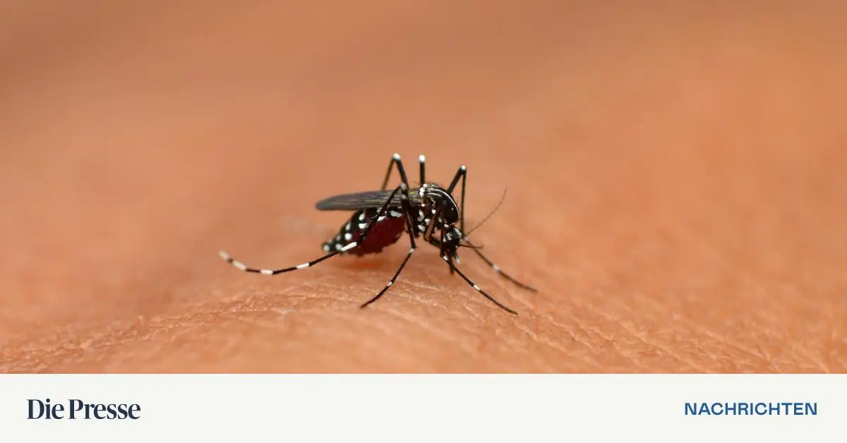 Resistente-Tigerm-cken-in-Europa