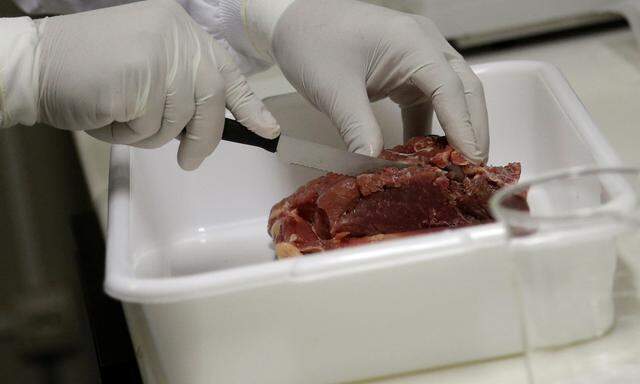 A veterinarian analyses a piece of meat collected by Public Health Surveillance agents during an inspection of supermarkets, at a veterinary laboratory with the public health department in Rio de Janeiro