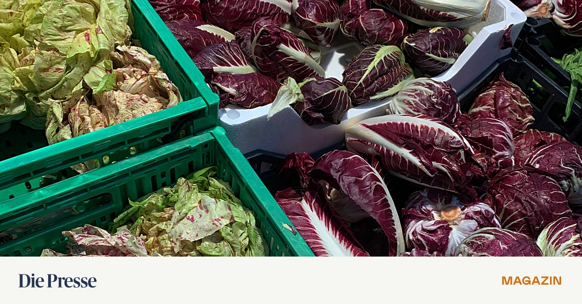 Warum-wir-vor-dem-Schweinsbraten-bittere-Salate-essen-sollten-premium-