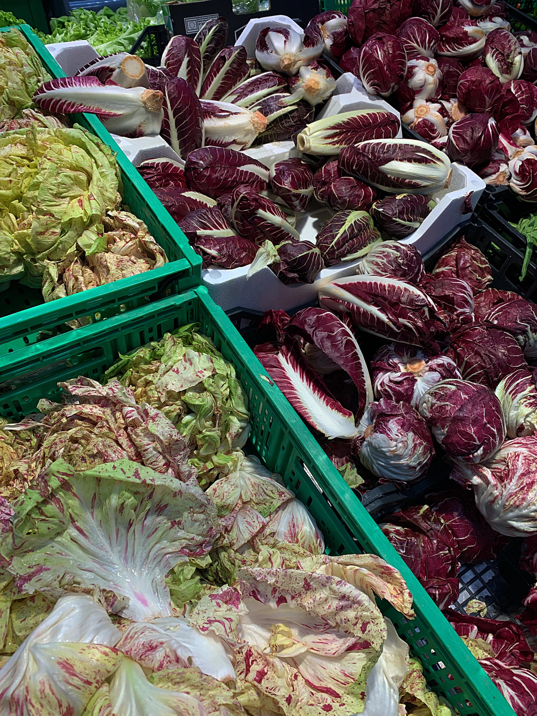 Warum wir vor dem Schweinsbraten bittere Salate essen sollten [premium]