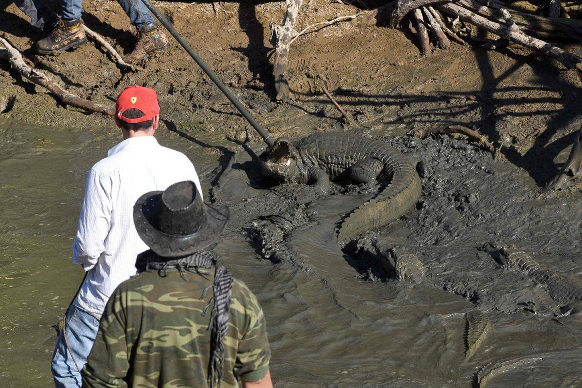 Ein Bewässerungsprojekt leitet den Fluss seit den 1990er-Jahren um. In Argentinien wurde Anfang der 2000er-Jahre gar die Jagd auf Krokodile und Kaimane frei gegeben, da sie ohnehin keine Chance auf Überleben hätten.  