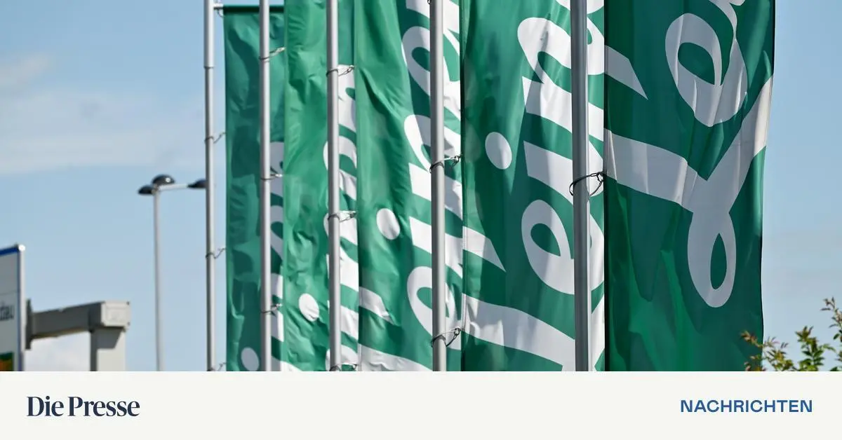 Wiener-Neustadt-plant-Kauf-des-fr-heren-Leiner-Areals