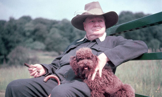 Ein Haustier kann bei öffentlichkeitswirksamer Selbstdarstellung nicht schaden. Politiker herzen und kraulen daher gern ihre Vierbeiner vor der Kamera. Auch das politische Naturtalent Winston Churchill.