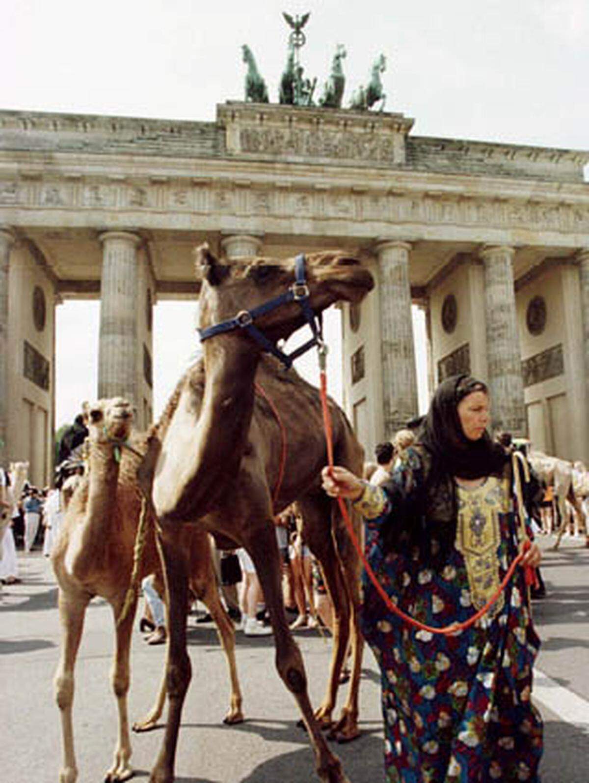 "Eine große Zahl an Arabern und Türken in dieser Stadt (...) hat keine produktive Funktion, außer für den Obst- und Gemüsehandel, und es wird sich auch vermutlich keine Perspektive entwickeln."Sarrazins Erkenntnisse beim Marktbesuch.