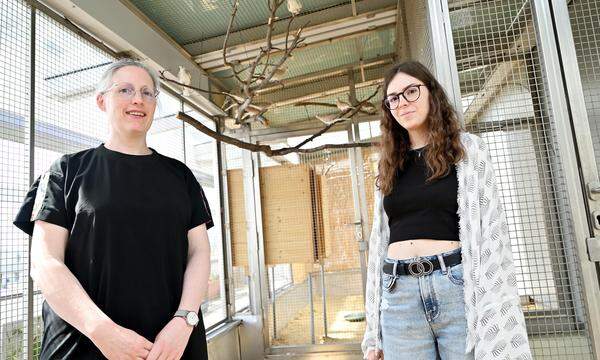 Die Forscherinnen Cliodhna Quigley (l.) und Denise Piringer erkennen ihre Lachttauben an den Ringnummern. Die Volieren stehen am Dach des Biologiezentrums.