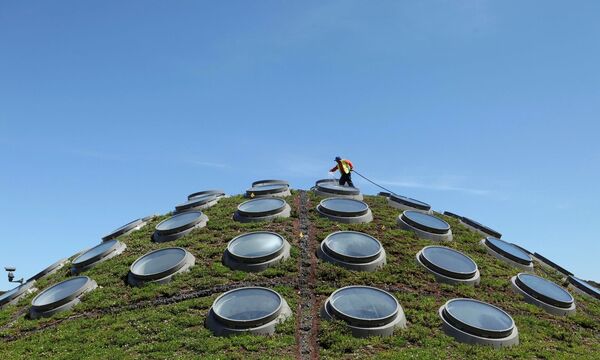 Das grüne Dach der California Academy of Sciences:  Auch hier wird an den Technologien von morgen geforscht.