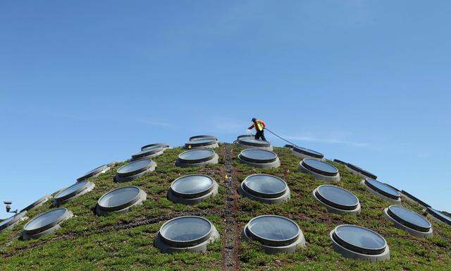 Das grüne Dach der California Academy of Sciences:  Auch hier wird an den Technologien von morgen geforscht.