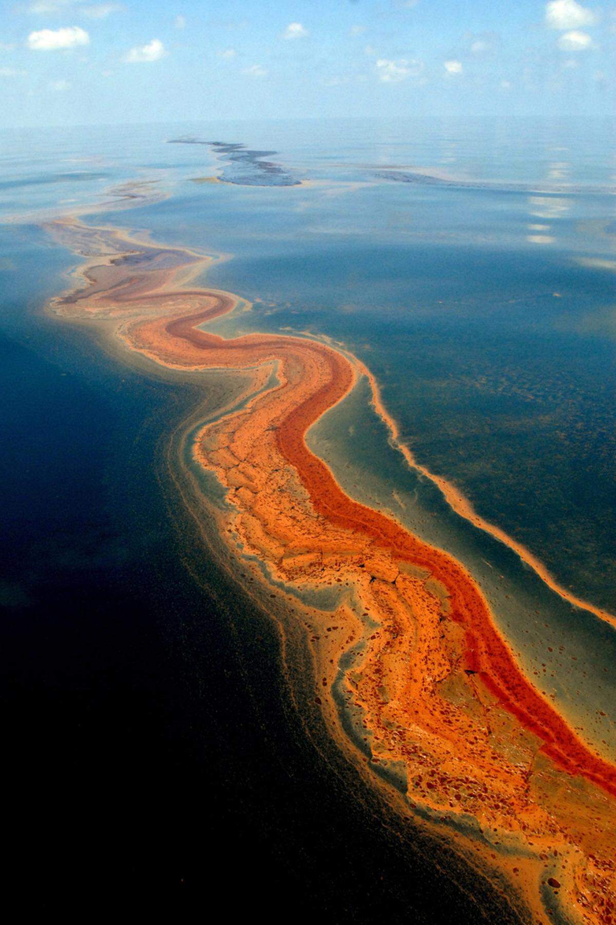 Die Regierung sieht das anders. "Es ist unangemessen und voreilig von BP, Schlussfolgerungen über die Folgen der Verschmutzung zu ziehen, bevor die Beurteilung abgeschlossen ist", reagierte der Rat der Umweltbehörden NOAA und EPA, den Innen- und Landwirtschaftsministerien sowie den betroffenen Bundesstaaten Alabama, Florida, Louisiana, Mississippi und Texas.