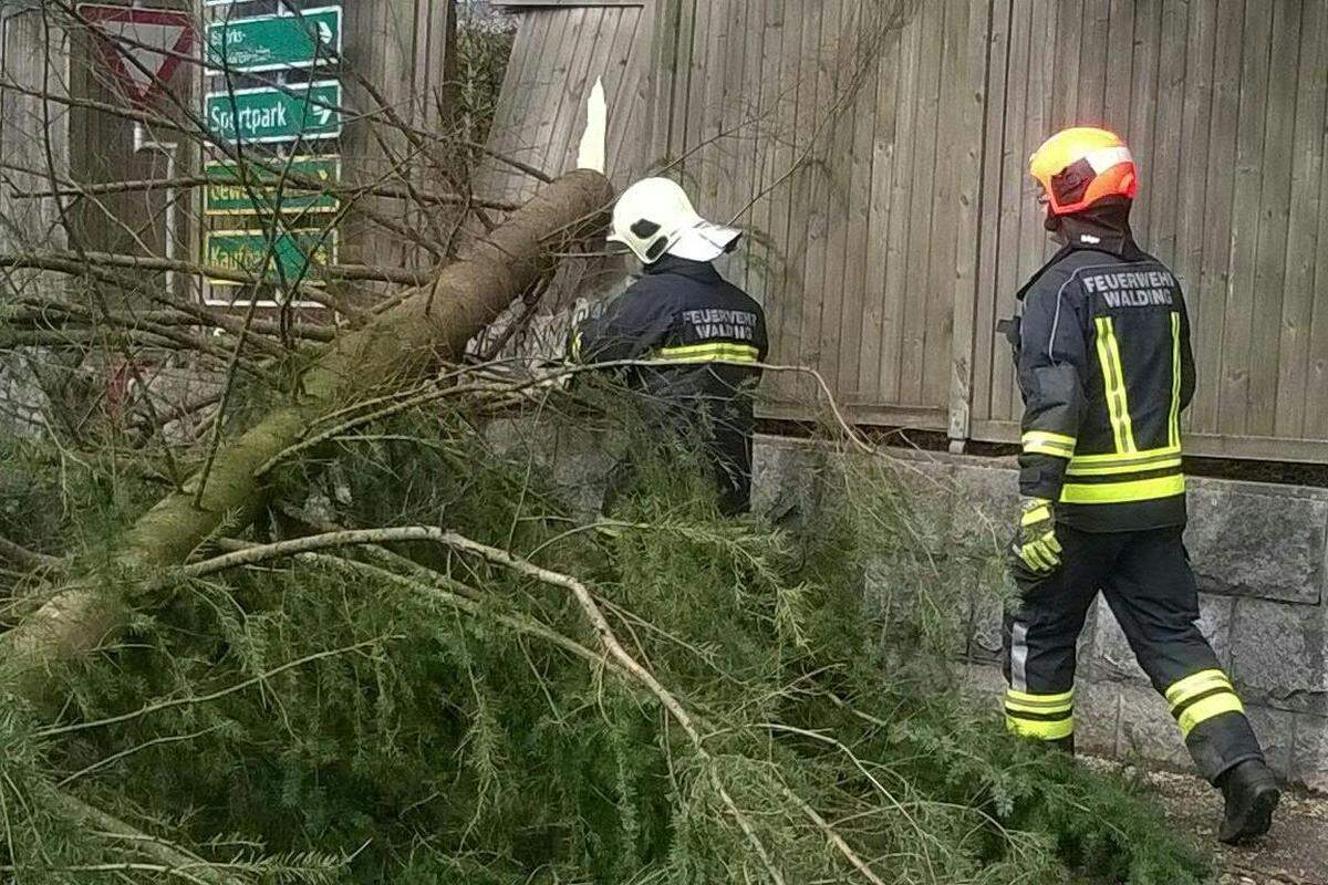 Im österreichischen Engerwitzdorf war die Feuerwehr im Dauereinsatz.