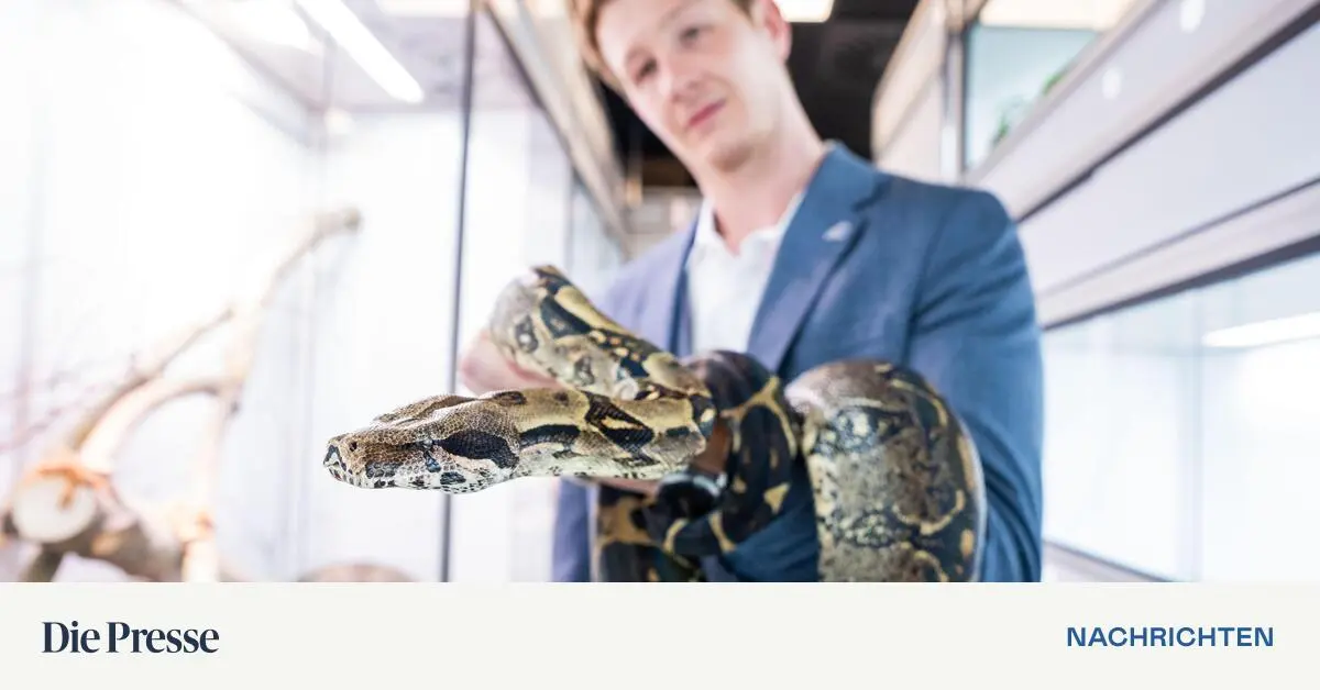 Exoten-Tierheim-im-Wiener-Haus-des-Meeres-er-ffnet