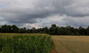 Belarus ist ein Nachbarland der Nato-Staaten Polen, Litauen und Lettland. Diese fühlen sich provoziert. (Am Foto die Grenze zwischen Polen und Belarus)