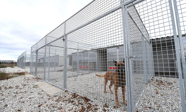 NIEDEROeSTERREICH: MEDIENTERMIN UND BEGEHUNG NACH DEN TOeDLICHEN HUNDEBISSEN AUF EINEN 31-JAeHRIGEN SOLDATEN