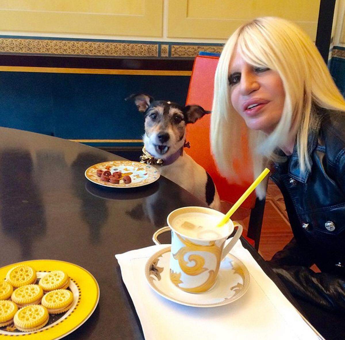 Auch andere Designer sind in ihre Hunde vernarrt. Donatella Versaces Jack Russell Terrier Audrey wurde nach Audrey Hepburn benannt. Die Hündin hat ihren eigenen Instagram-Account, ihre Halsbänder sind natürlich Spezialanfertigungen.